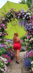 604258955: Chica busca chico en Asturias