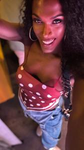 613961516: Travesti en Alicante