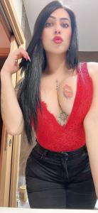 601883107: Travesti en Alicante