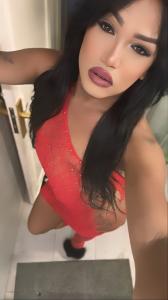 Travesti en Alicante: 