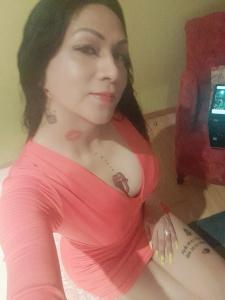 Transexual en Pontevedra: 