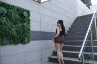 745023925: Chica busca chico en Alicante