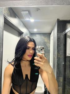Transexual en Alicante: 