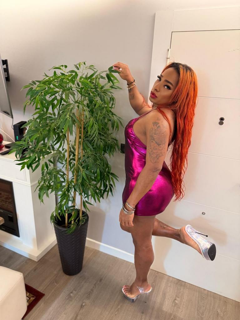 Travesti en Zaragoza: 