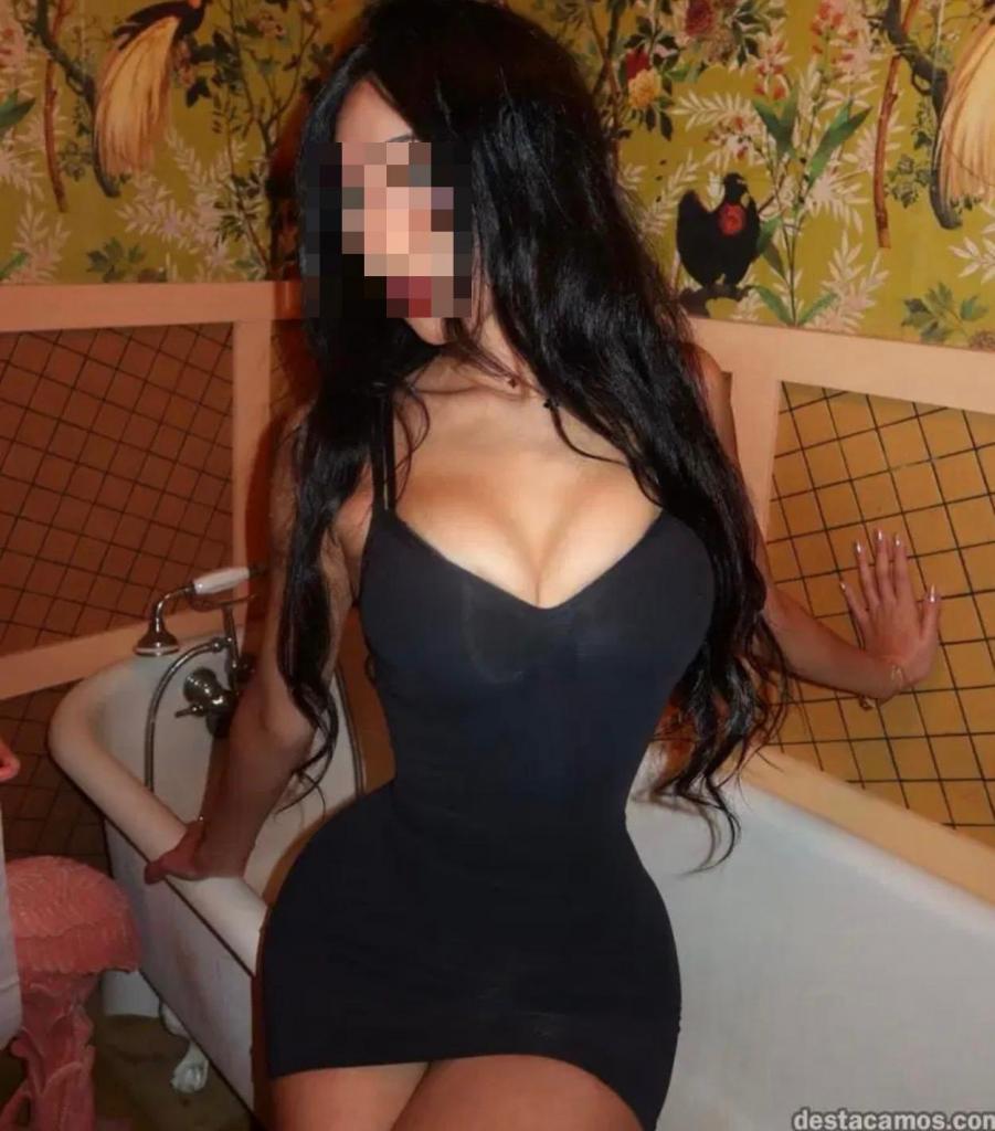 Chica busca chico en Navarra: 