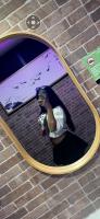 631045844: Chica busca chico en Las Palmas