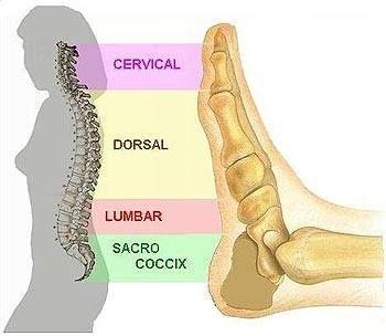 Chica busca chico en Asturias: 
