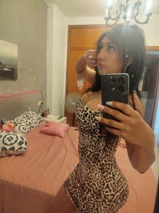Travesti en Murcia: 
