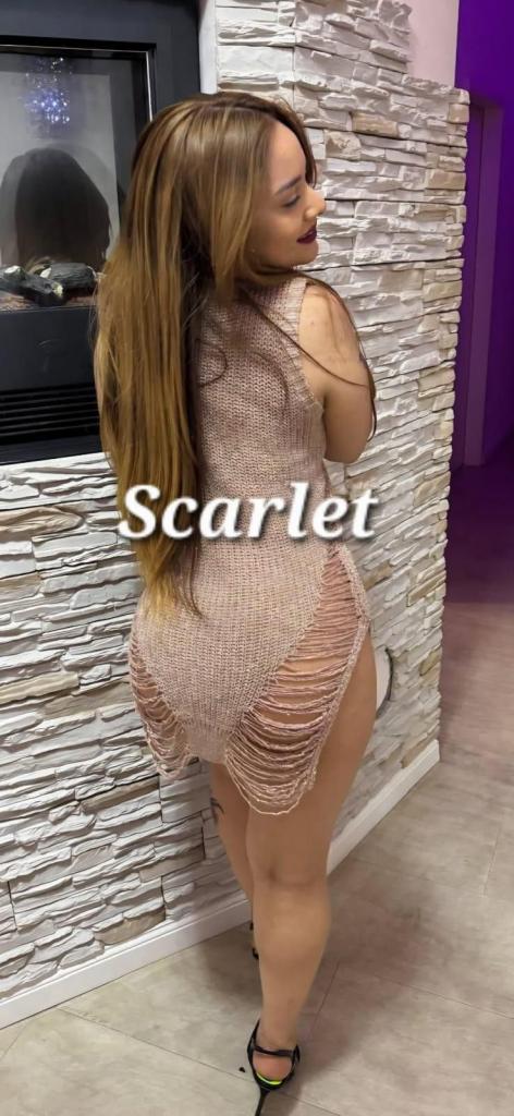 Chica busca chico en Cantabria: 