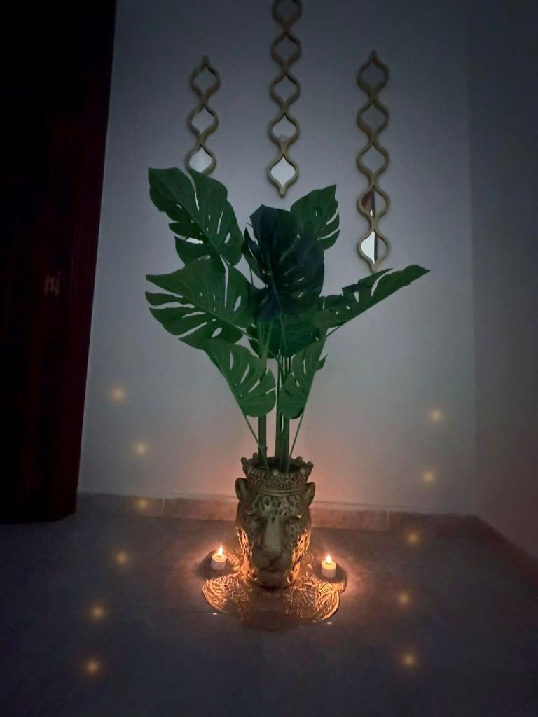 Chica busca chico en Ciudad Real: 