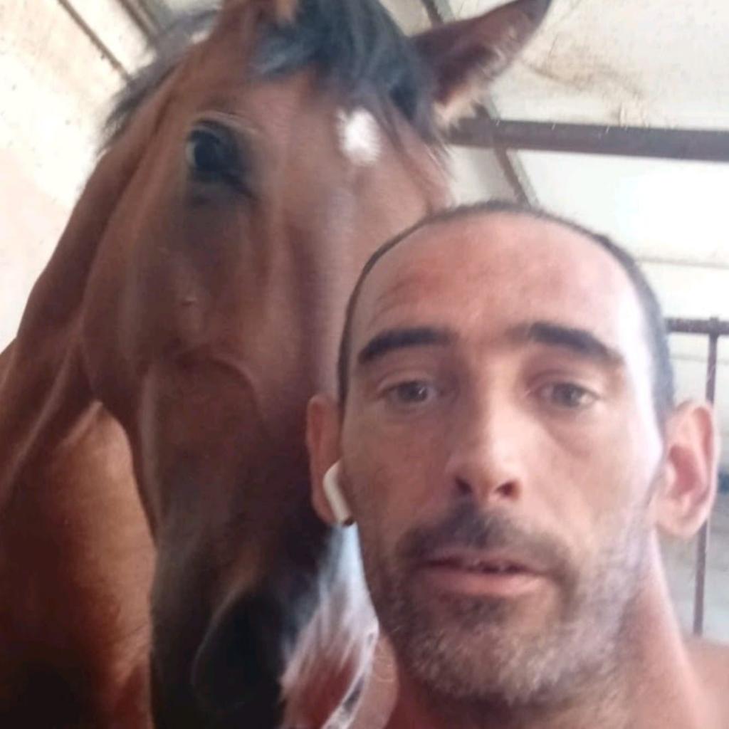 Chico busca chica en Alicante: 