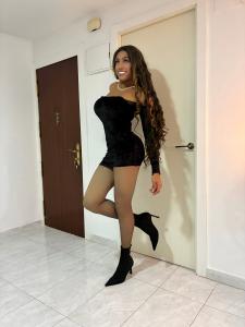 641518137: Travesti en Alicante