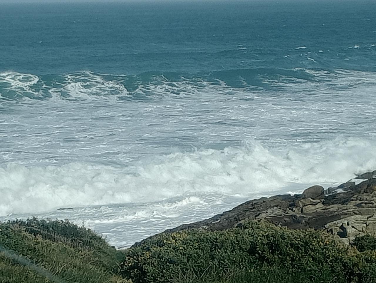 Chico busca chica en La Coruña: 