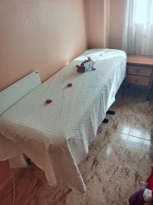 643216831: Chica busca chico en Alicante