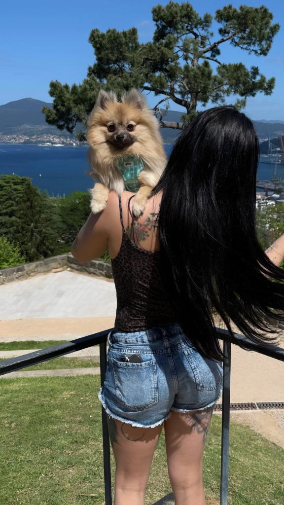 Transexual en Pontevedra: 