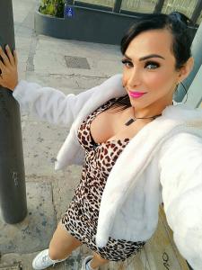 Transexual en Valencia: 