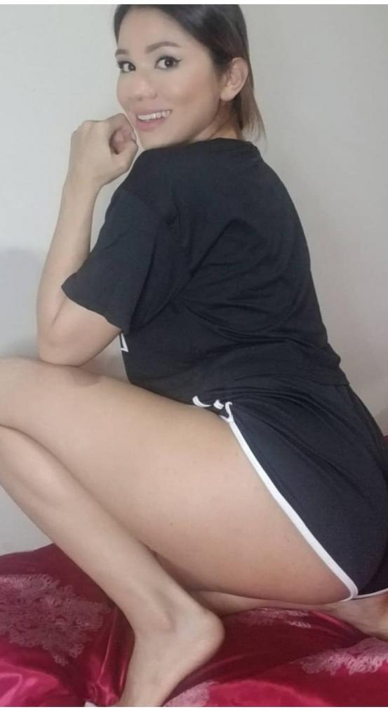 Chica busca chico en Palencia: 