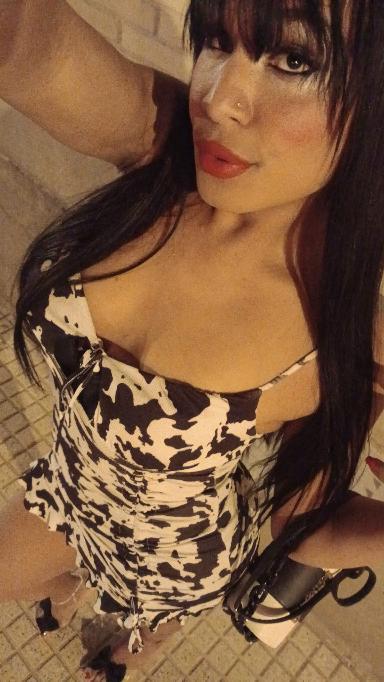 Transexual en Zaragoza: 