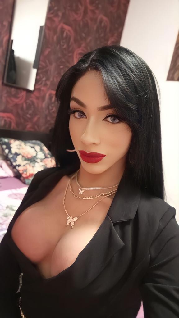 Transexual en Alicante: 