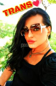 Transexual en Castellón: 