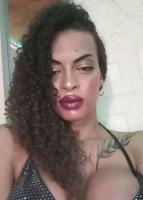 611253901: Travesti en Lérida