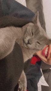 Chica busca chico en Lérida: 