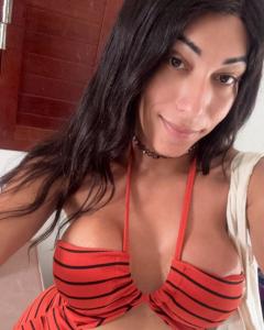 Travesti en Cantabria: 