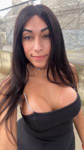 Travesti en Cantabria: 
