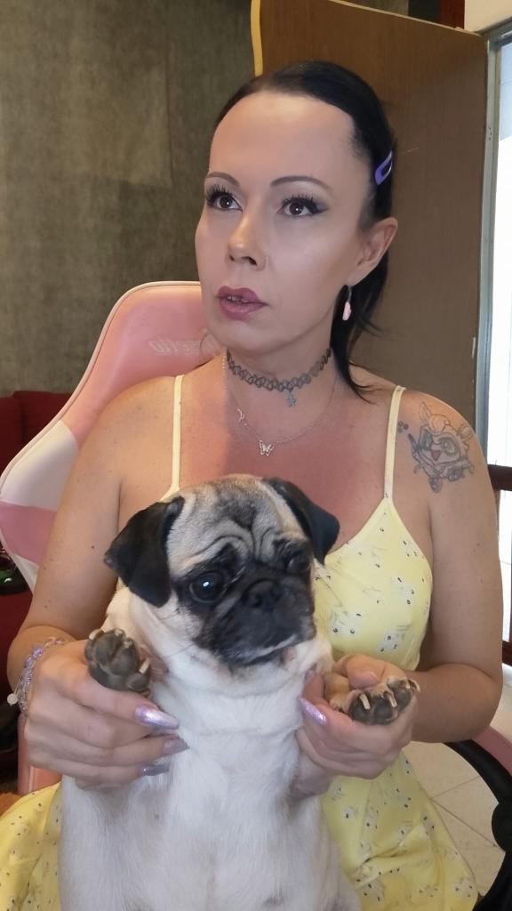 Transexual en Vizcaya: Transexuales y Travestis