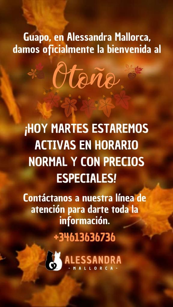Chica busca chico en Mallorca: Chica busca chico