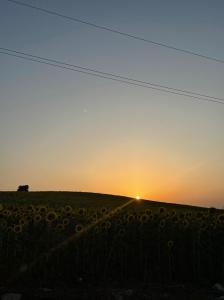 642073649: Chica busca chico en Cádiz