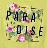 641874317: Chica busca chico en Soria