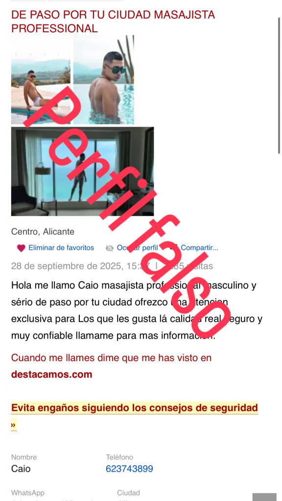 Chico busca chica en Alicante: 