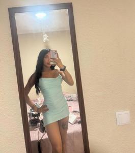 678667377: Travesti en Zaragoza