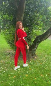 Transexual en Alicante: 