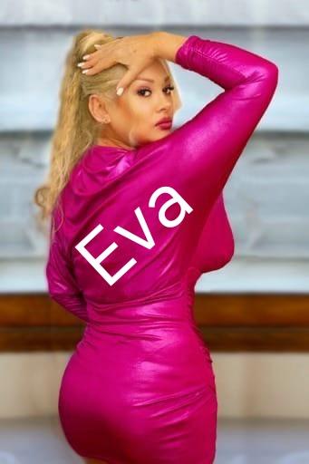 Chica busca chico en Palencia: 