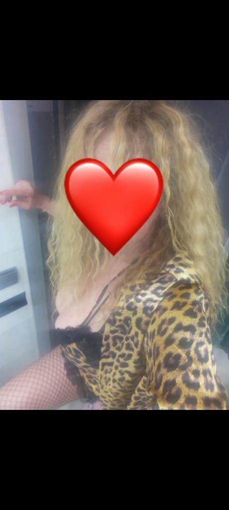 Chica busca chico en Navarra: 