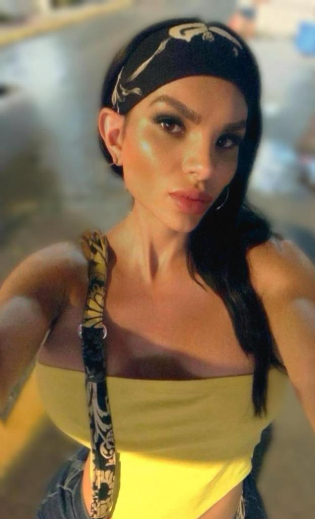 Travesti en Alicante: 