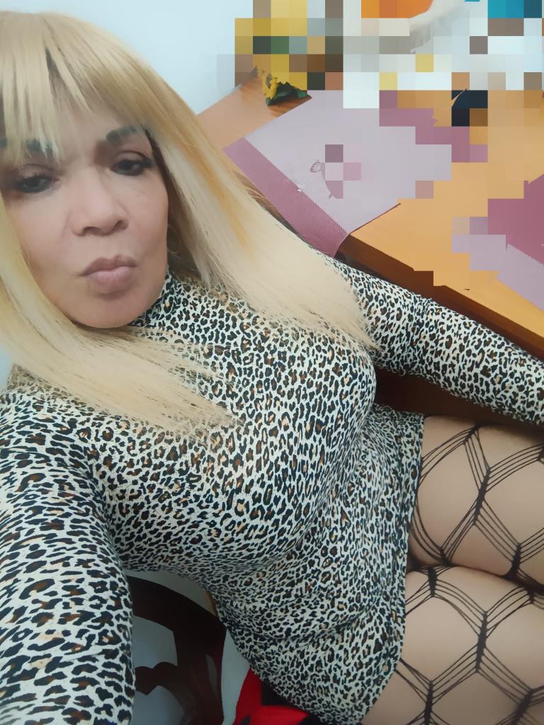 Chica busca chico en Guipúzcoa: 