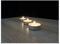 604244680: Chica busca chico en Las Palmas