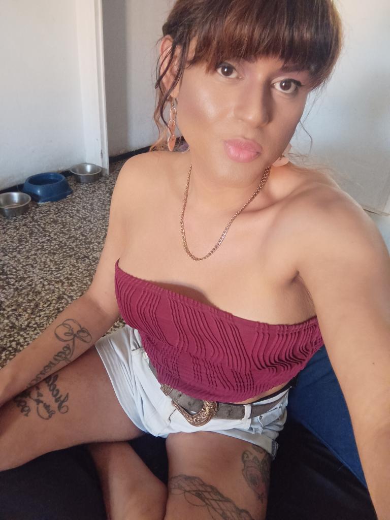 Travesti en Alicante: 