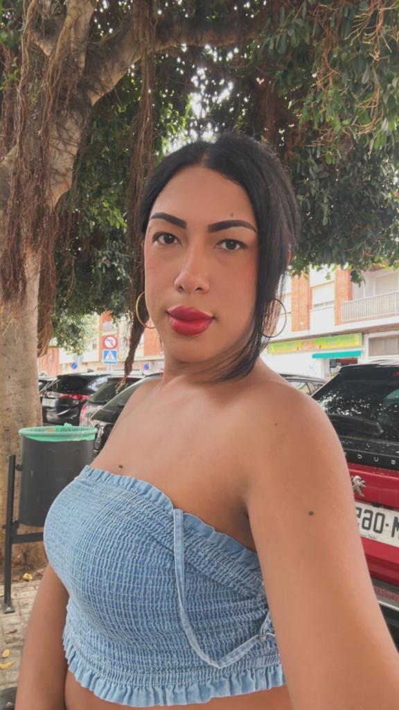 Travesti en Valencia: 