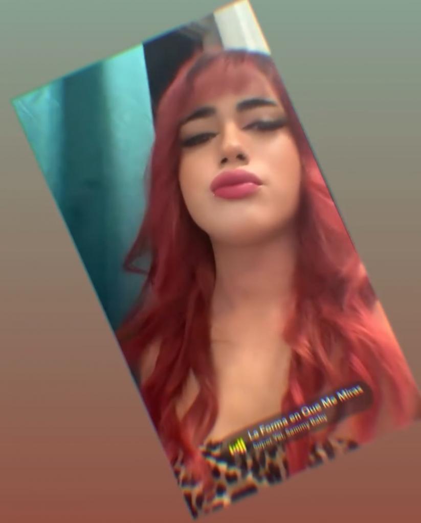 Travesti en Castellón: 