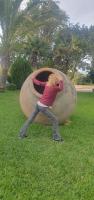 613947676: Virtual en Mallorca