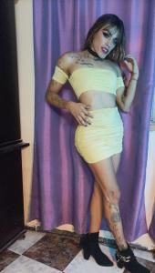 Travesti en Alicante: 