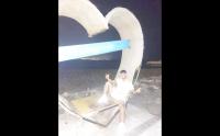 637014243: Chico busca chica en Málaga