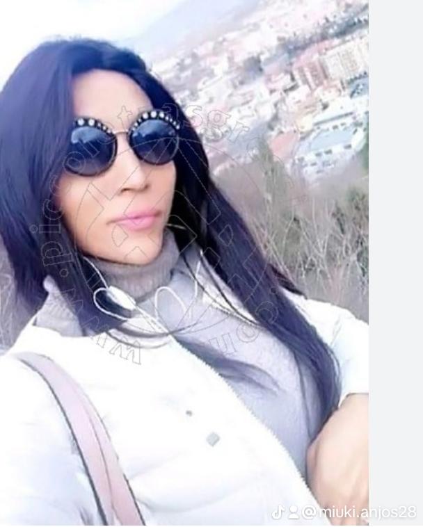 Transexual en Gerona: 