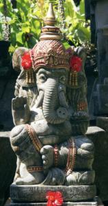 627620844: Chica busca chico en Tenerife