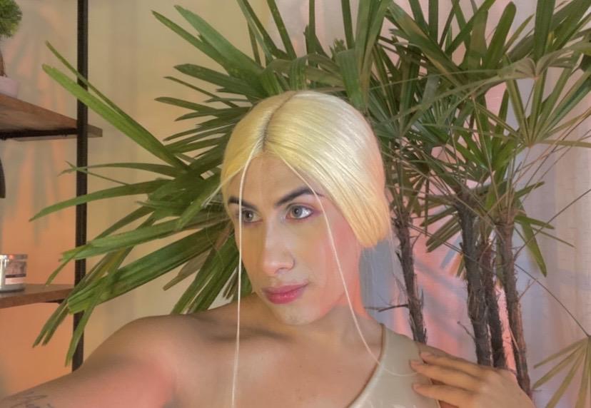 Travesti en Valencia: 