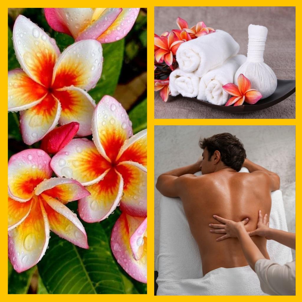 Chica busca chico en Tenerife: 